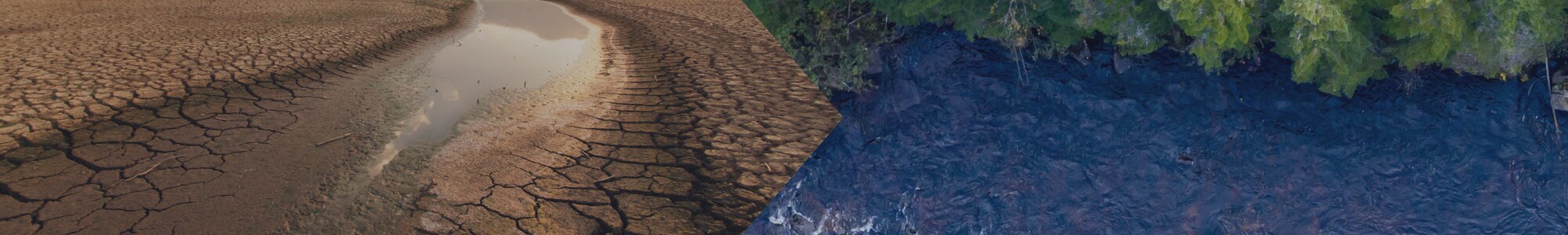 A contrast between a dry and a wet landscape