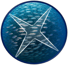 a fish eye view of the ocean