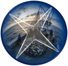 A fish eye view of a harbour
