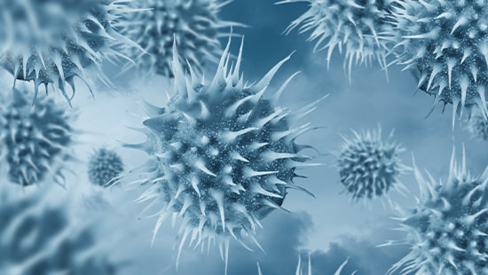 Norovirus Novedades Realidad Y Medidas A Tomar Ecolab