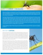 Infographic of zika dengue and chikungunya mosquito facts and elimination services by Ecolab.