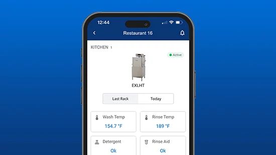 Person Holding Stack of Plates in Commercial Kitchen
